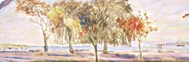 Willow Park
