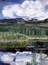 Reflection