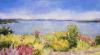 Pat Bay View